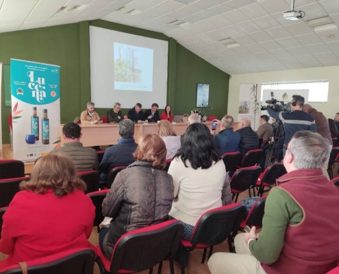 Imagen de la presentación del proyecto Oleoturismo, a cargo de la Cooperativa de Lucena, en colaboración con Aceites Fuente la Parra.
