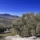 Aceite, territorio y futuro refuerza el papel estratégico del AOVE en el desarrollo rural de Granada